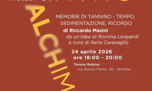 Tenute Rubino: oggi l’inaugurazione di “MEMORIE DI TANNINO | Tempo, sedimentazione, ricordo” di Riccardo Masini