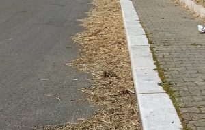 Il peggio per questa città. Di Vincenzo Albano