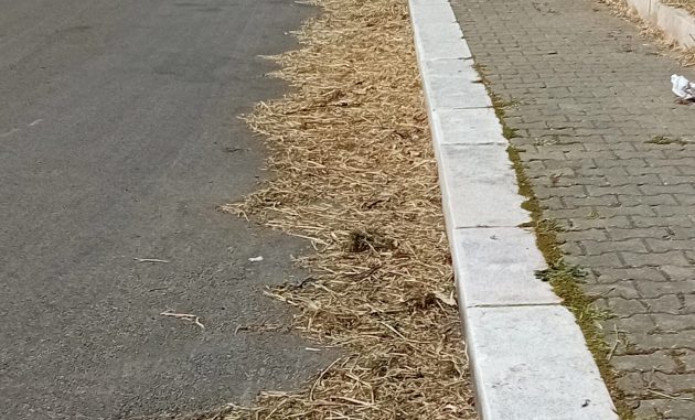 Il peggio per questa città. Di Vincenzo Albano