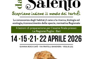 Nei boschi non solo funghi ma anche i tartufi