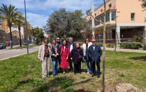 Pari Opportunità, messa a dimora una “Jacaranda mimosifolia”, simbolo di Bellezza, Forza e Rinascita delle Donne