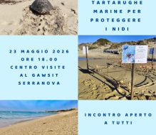 Riconoscere le tracce delle tartarughe marine per proteggere i nidi: il 23 maggio incontro aperto a tutti al centro visite di Torre Guaceto