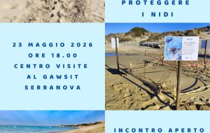 Riconoscere le tracce delle tartarughe marine per proteggere i nidi: il 23 maggio incontro aperto a tutti al centro visite di Torre Guaceto