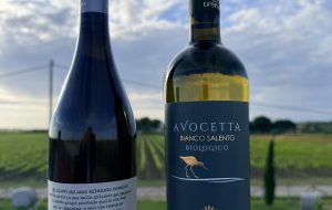 Giornata Mondiale della Biodiversità: Tenute Lu Spada celebra la natura lanciando le nuove annate dei suoi bianchi biologici