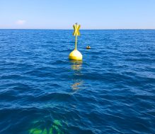 Installata a Torre Guaceto una boa per il controllo dello stato di salute del mare