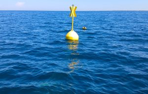 Installata a Torre Guaceto una boa per il controllo dello stato di salute del mare