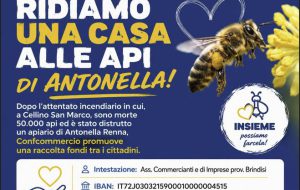 Attentato ad apiario: ConfCommercio lancia una sottoscrizione pubblica