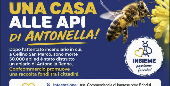 Attentato ad apiario: ConfCommercio lancia una sottoscrizione pubblica