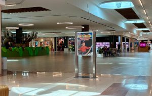AppiAnticA – Parte il cartellone estivo