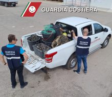 Conclusa l’operazione “Black Shell”: a Brindisi sequestrato prodotto ittico in pescheria e per strada