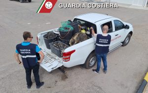 Conclusa l’operazione “Black Shell”: a Brindisi sequestrato prodotto ittico in pescheria e per strada