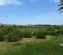 “Abitare Brindisi”, al via la coprogettazione per il potenziamento dell’infrastruttura civica e culturale della città
