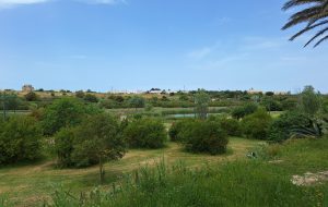 “Abitare Brindisi”, al via la coprogettazione per il potenziamento dell’infrastruttura civica e culturale della città
