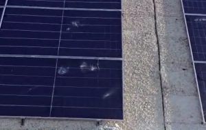 Porto di Brindisi: Gravissimo atto intimidatorio contro il cantiere dell’impianto fotovoltaico sulla diga di Punta Riso. Distrutti a sassate numerosi pannelli