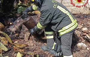 Incendio vicino al passaggio a livello, sospesa temporaneamente la circolazione ferroviaria