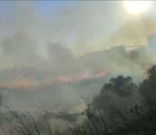 Brindisi, vasto incendio di vegetazione nella zona industriale: Vigili del Fuoco al lavoro