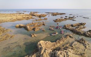 “Il mare che ci unisce”: a Brindisi una bio-passeggiata a Punta del Serrone con le biologhe di National Geographic per il progetto “Brindisi Colmare”