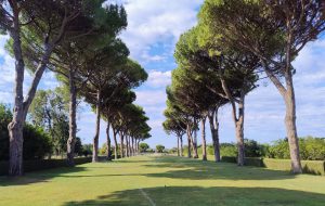 Randonneurs in sella da Roma a Brindisi: partita la Rappiandò 2026, i ciclisti diventano inviati speciali del progetto “Viaggio sull’Appia”