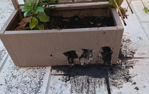 Brindisi, incendiata una fioriera davanti al locale Smoke. Lo sfogo del titolare: “Questa città non ci merita”