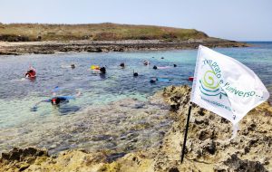 Cooperativa Thalassia: l’estate continua tra natura e cultura, tra Torre Guaceto e Alto Salento