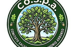 Dal Piano del Verde alla forestazione urbana: le proposte del Comitato per la Salvaguardia del Patrimonio Arboreo di Brindisi