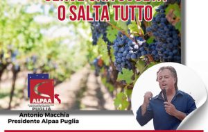 Macchia (ALPAA Puglia): “Dopo la crisi dell’olivicolo, la crisi del vino: serve una svolta o salta tutto”