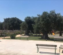 Villetta Don Tonino Bello: il Comune di Fasano lancia l’avviso per la gestione condivisa del bene comune