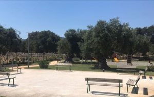 Villetta Don Tonino Bello: il Comune di Fasano lancia l’avviso per la gestione condivisa del bene comune
