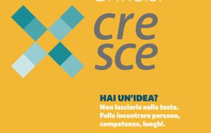 Brindisi Cresce: prorogati i termini per partecipare alla “maratona di sviluppo”’(Hackathon)  e al percorso di formazione professionale
