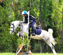 Equitazione, la Puglia vince il Trofeo delle Regioni nel Country Derby a Mogliano Veneto