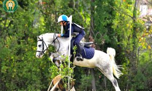 Equitazione, la Puglia vince il Trofeo delle Regioni nel Country Derby a Mogliano Veneto