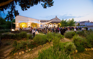 XFood Osteria lancia il percorso “Cena Vegetale”: un nuovo capitolo tra terra, stagionalità e lavoro condiviso