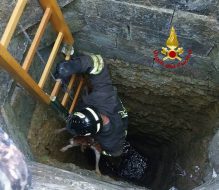 Cane cade in un pozzo, salvato dai Vigili del Fuoco