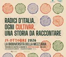 Camminata tra gli Olivi: a Laureto di Fasano torna l’appuntamento tra natura, storia e cultura dell’olio