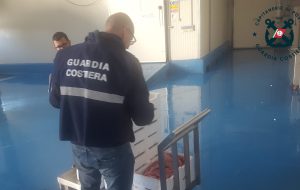 Controlli della Guardia Costiera: sequestrato oltre un quintale di prodotto ittico