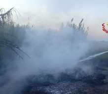 Incendio di pneumatici e vegetazione in zona Jaddico