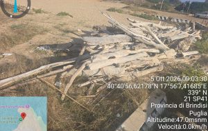 Litoranea Nord, al via la rimozione dei tronchi arrivati con le mareggiate