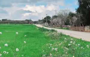 Itinerario ciclabile tra Francavilla Fontana e Ceglie Messapica: la Regione finanzia il progetto con 1,3 milioni di euro